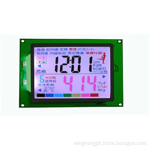 Color Segment LCD Module WHPC-03
